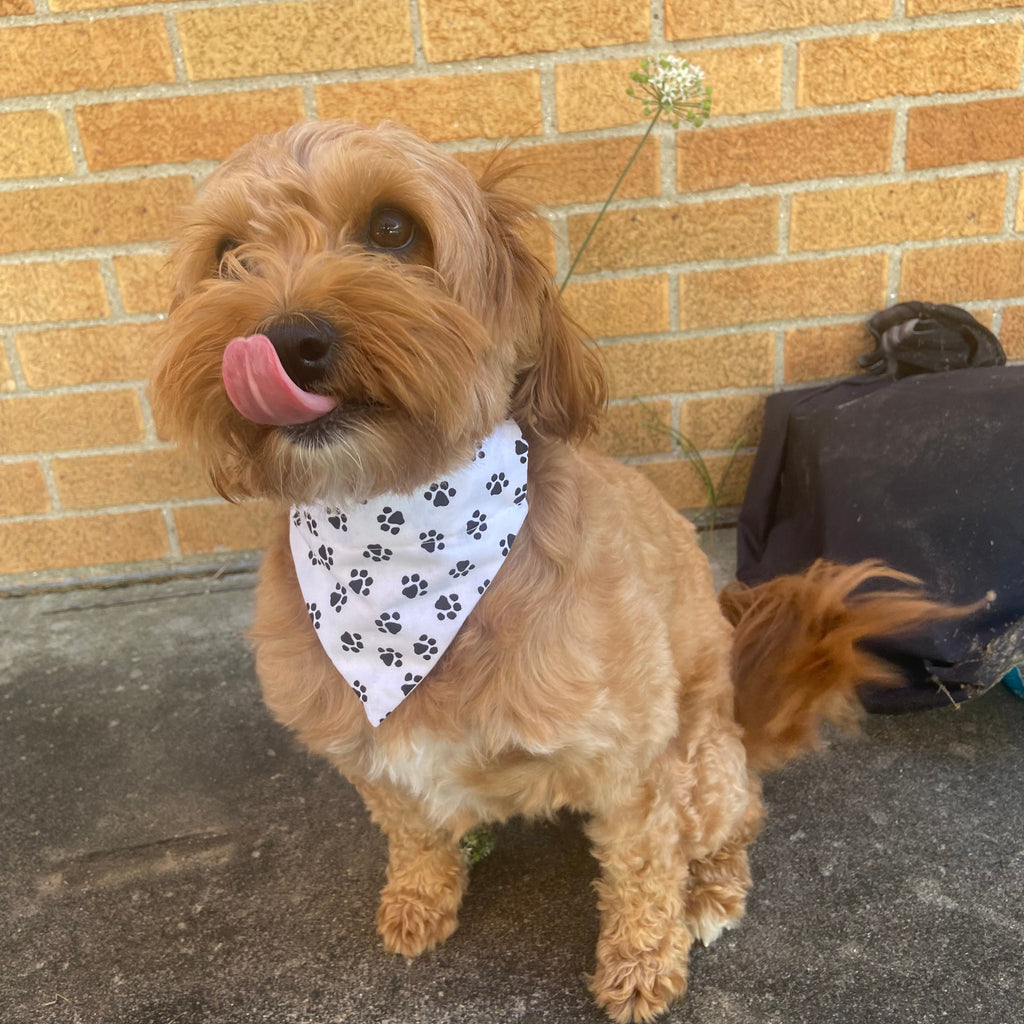 Paw Print Bandana