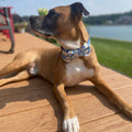 Daisy Bow Tie