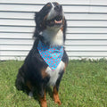 Watermelon Bandana