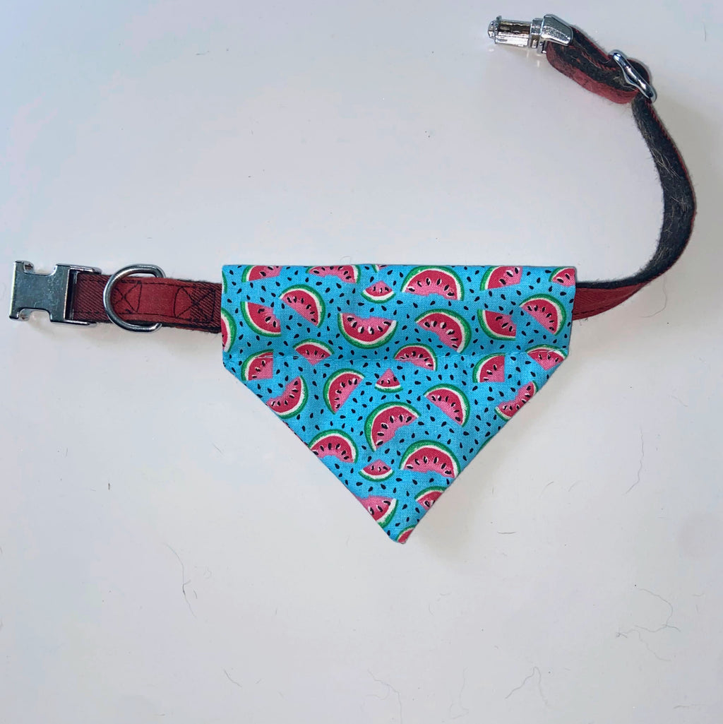 Watermelon Bandana